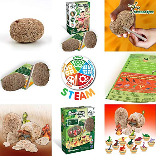 Science4you-Starter Kit Dino Eggs, Juguete Educativo Dinos, Huevos de Dinosaurios para Niños +8 Años (80002681)