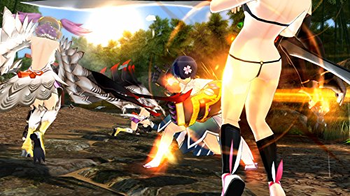 Senran Kagura Estival Versus [Importación Inglesa]