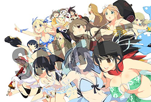 Senran Kagura Estival Versus - Nyuu Nyuu DX Pack [PS4][Importación Japonesa]