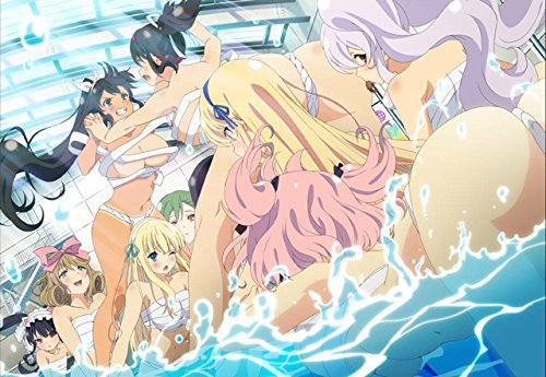 Senran Kagura Estival Versus - Nyuu Nyuu DX Pack [PS4][Importación Japonesa]