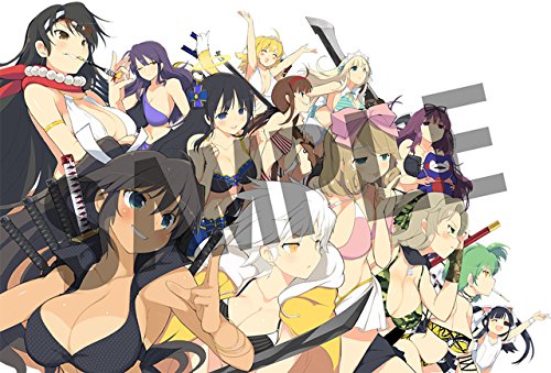 Senran Kagura Estival Versus - Nyuu Nyuu DX Pack [PSVita][Importación Japonesa]