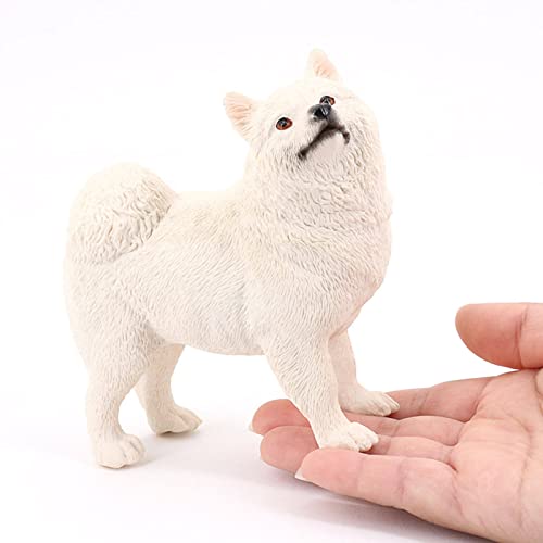 sharprepublic Plástico Samoyedo Modelo de Aprendizaje Miniatura Juego de Figuras de Animales Figuras de acción de Juguete Blanco