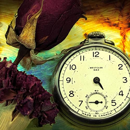 Short Hike Through an Infinity Mirror