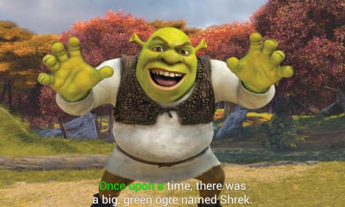 Shrek Forever After - Kids Book