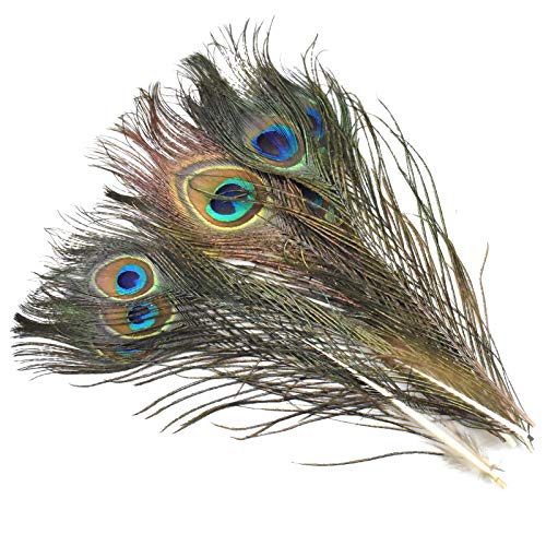 Skyzone 10 Piezas de Plumas de faisán Naturales, Colas de faisán y 10 Plumas de Pavo Real Naturales Reales para Sombreros de Pelo, Manualidades para Manualidades, decoración de Bodas en el hogar