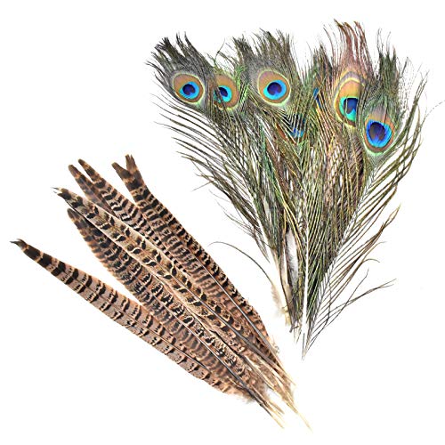 Skyzone 10 Piezas de Plumas de faisán Naturales, Colas de faisán y 10 Plumas de Pavo Real Naturales Reales para Sombreros de Pelo, Manualidades para Manualidades, decoración de Bodas en el hogar