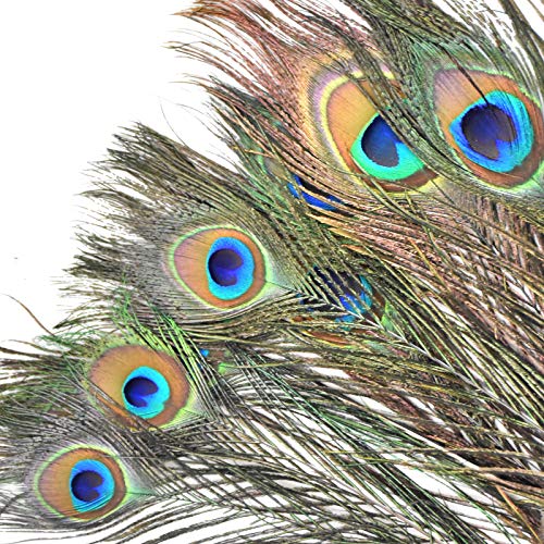Skyzone 10 Piezas de Plumas de faisán Naturales, Colas de faisán y 10 Plumas de Pavo Real Naturales Reales para Sombreros de Pelo, Manualidades para Manualidades, decoración de Bodas en el hogar