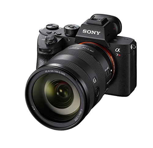 Sony FE 24-105mm f/4 G OSS - Teleobjetivo, Full-Frame, Rango Medio (SEL24105G)