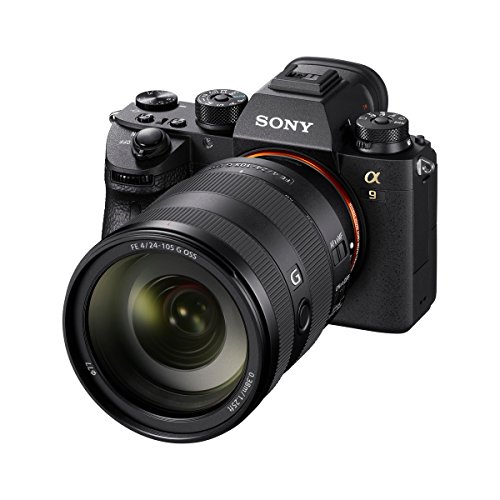 Sony FE 24-105mm f/4 G OSS - Teleobjetivo, Full-Frame, Rango Medio (SEL24105G)