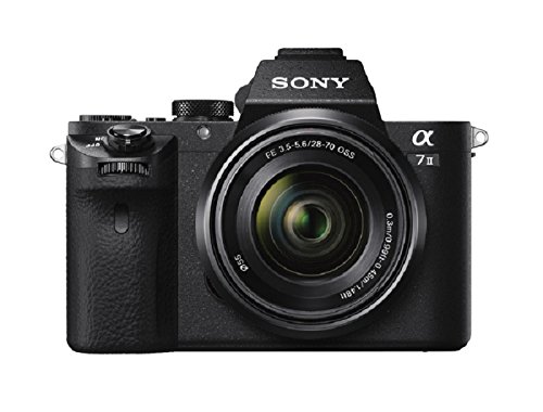 Sony FE 24-240 mm f/3.5-6.3 OSS - Full-Frame, Gran Angular, Teleobjetivo (SEL24240)
