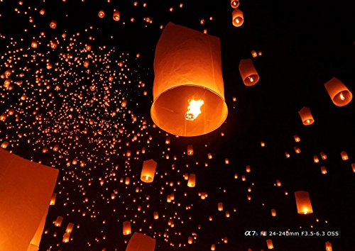 Sony FE 24-240 mm f/3.5-6.3 OSS - Full-Frame, Gran Angular, Teleobjetivo (SEL24240)