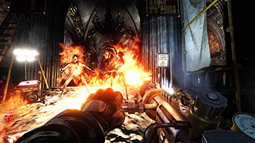 Sony Killing Floor 2 Game of the year edition, PS4 vídeo - Juego (PS4, PlayStation 4, FPS (Disparos en primera persona), Modo multijugador, M (Maduro))