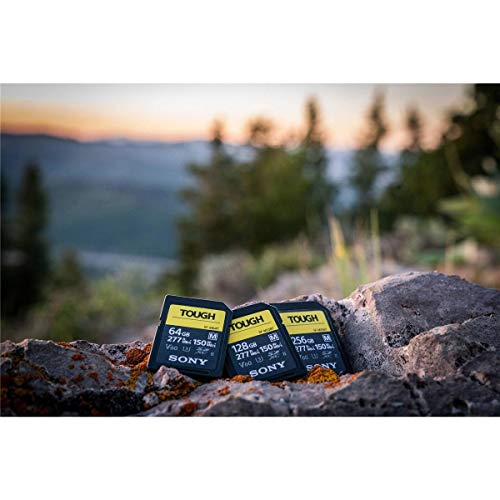 Sony Tough - Tarjeta SD de memoria flash 64 GB