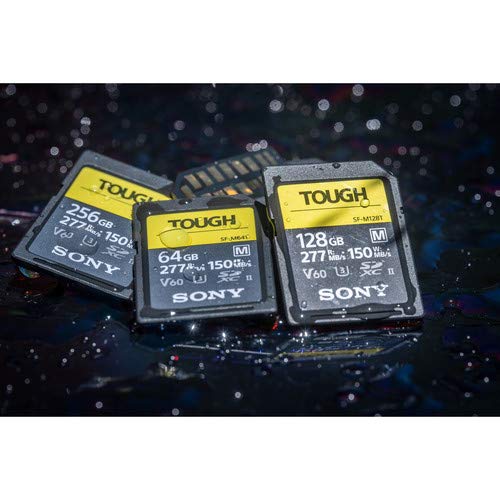 Sony Tough - Tarjeta SD de memoria flash 64 GB
