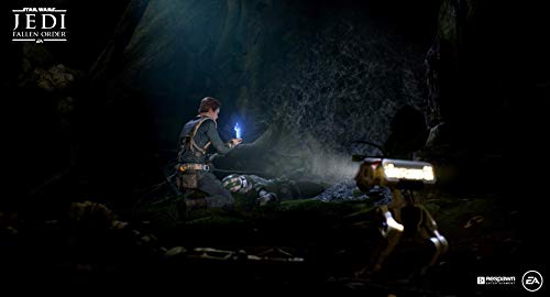 Star Wars Jedi : Fallen Order - Code de Téléchargement pour PC [Importación francesa]