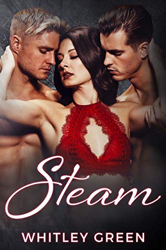 Steam (The Sizzle TV Series Book 4) (English Edition)