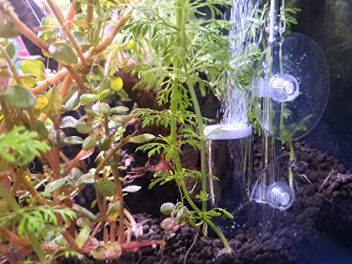 Steamer Mods Difusor de CO2 para plantas de acuario, Aquascape