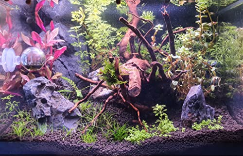 Steamer Mods Difusor de CO2 para plantas de acuario, Aquascape