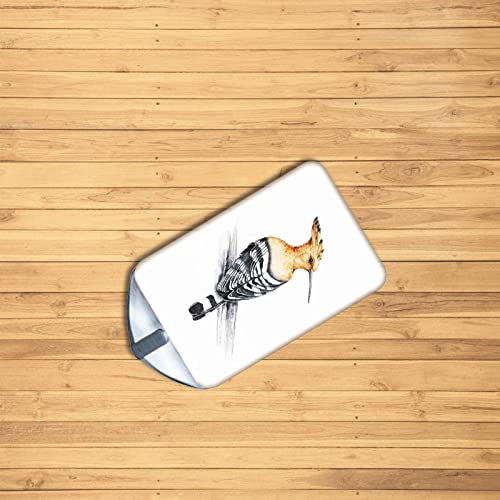 stee no corrosivo Steel wall hook Realese tener con Birds