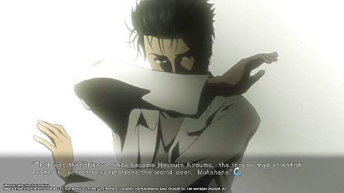 Steins; Gate Elite - Limited Edition [Importación francesa]