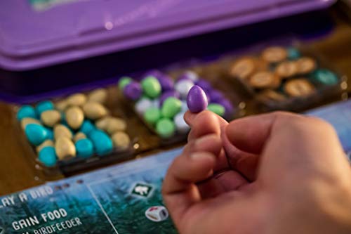 Stonemaier Games Wingspan European Expansion - English