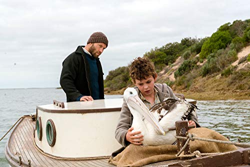 Storm Boy [Edizione: Stati Uniti] [Italia] [DVD]