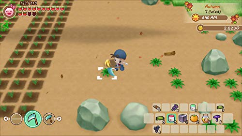 Story of Seasons: Friends of Mineral Town for Nintendo Switch [USA]