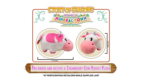 Story of Seasons: Friends of Mineral Town for Xbox One [USA]