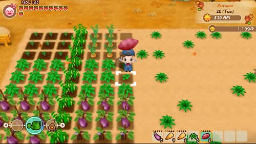 Story of Seasons: Friends of Mineral Town for Xbox One [USA]