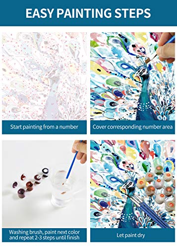 SUMGAR Pintar por Numeros Adultos Multicolor Pavo Real Cuadros para Pintar por Numeros Equipo De Bricolaje Pintura por Números en Lienzo DIY Paint by Numbers Adult 40 x 50 cm (sin Marco)