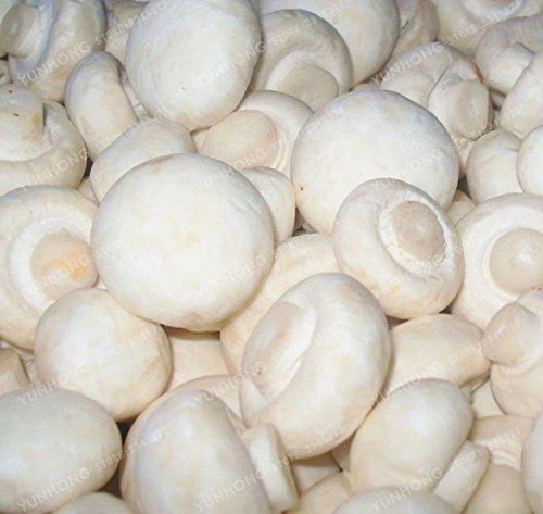 SwansGreen Big Sale 100 Pcs Delicious White Mushroom Seeds Green Vegetables Bonsai Seeds Very Easy To Grow For Home
