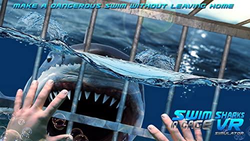 Swim Sharks In Cage VR Simulator