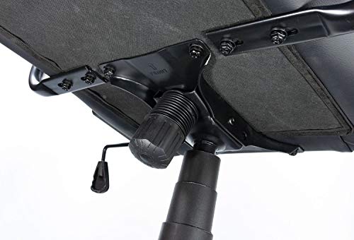 Talius Gecko V2 Silla Gaming Profesional, Ergonómica, basculante, Espuma Alta Densidad, Base y Ruedas Nylon, Gas Clase 4. Ideal para niños y Adultos. para Juegos, Oficina, Escritorio. (Azul)