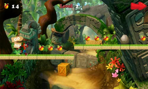 Temple Bandicoot Jungle Adventure