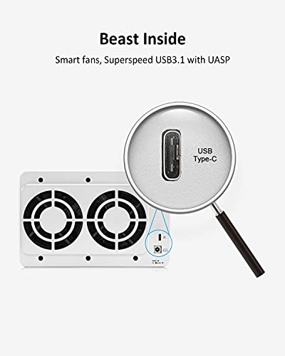 TERRAMASTER D4-300 USB 3.1(Gen 1) Carcasa para Discos Duros Externos Sin Herramientas Almacenamiento USB 3.1 Tipo C Admite Intercambio en Caliente (Sin Disco)