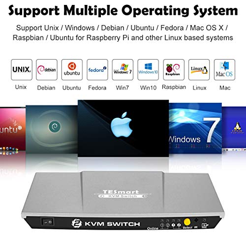 TESmart HDMI KVM Switch 4K 30Hz Caja del Conmutador con 2 Piezas de Cables KVM de 5 Pies Soporta el Control de Dispositivos USB 2.0 hasta 4 Computadoras/Servidores/DVR (Gris)
