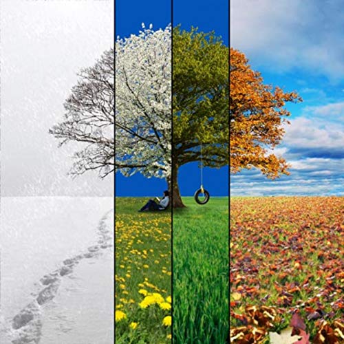 The 4 Seasons (English Edition)