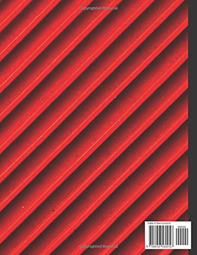 The DESIGNER ISOMETRIC Graph Paper Sketchbook: Isometric Notebook for any Designers to show your creative ideas, Good for sketching, drawing, drafting and designing 8.5x11 inches 120 Pages