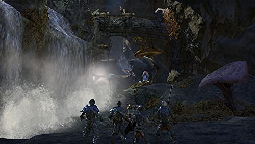 The Elder Scrolls Online : Morrowind [Importación francesa]