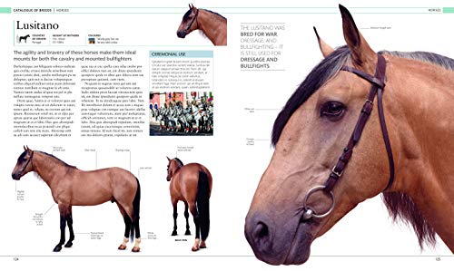 The horse encyclopedia