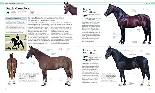 The horse encyclopedia