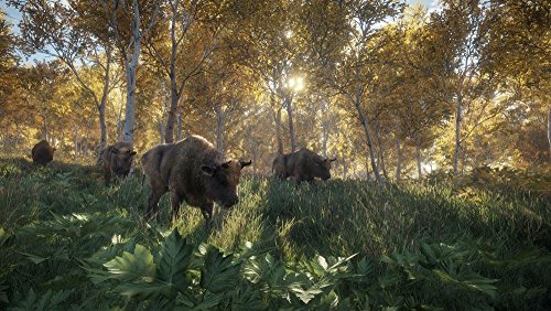 The Hunter: Call of The Wild - Version Française - PlayStation 4 [Importación francesa]