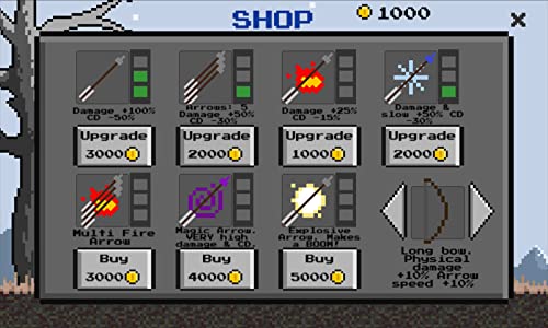 The Pixel Hero: Archercraft