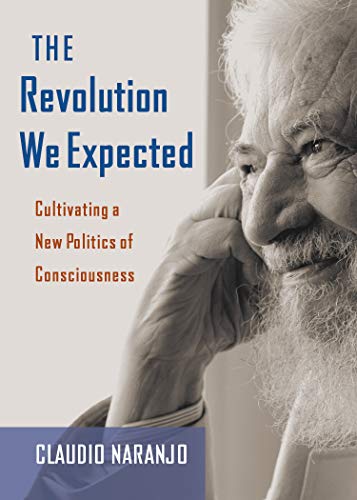 The Revolution We Expected: Cultivating a New Politics of Consciousness (English Edition)