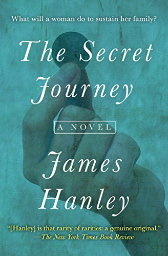 The Secret Journey: A Novel (The Furys Saga) (English Edition)