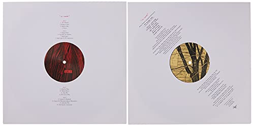 The Suburbs [Vinilo]