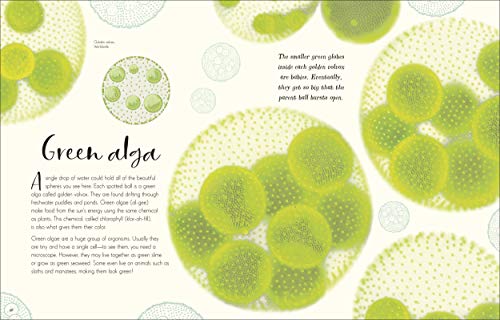 The Wonders of Nature