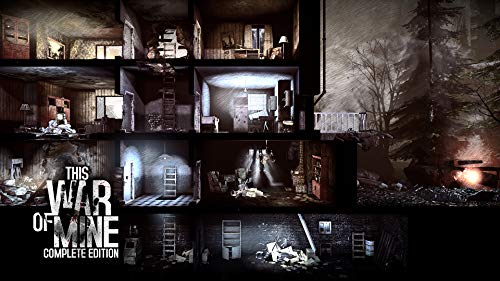 This War of Mine Complete Edition - Nintendo Switch [Importación inglesa]