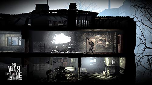 This War of Mine Complete Edition - Nintendo Switch [Importación inglesa]
