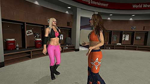 THQ WWE SmackDown vs. Raw 2010 - Juego